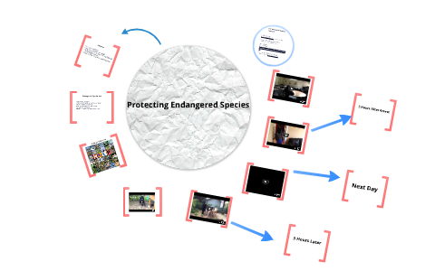 Protecting Endangered Species by Cristina Johnson on Prezi