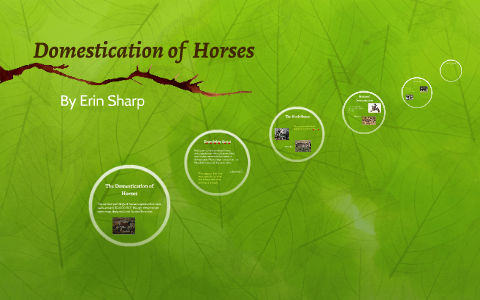 Animal Domestication by Erin Sharp on Prezi