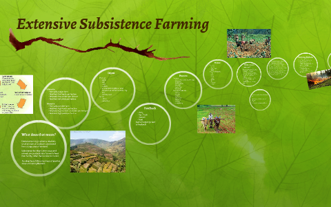 subsistence farming