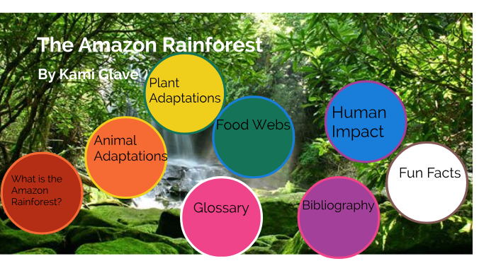 The Amazon Rainforest By Kami Glave