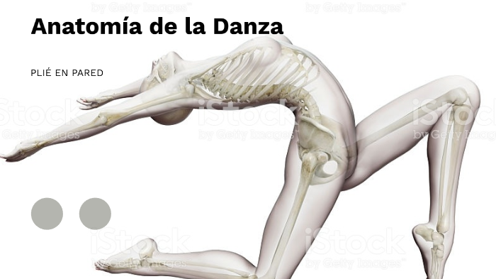 ANATOMIA DE LA DANZA EN FORMA IN SHAPE visual data 7