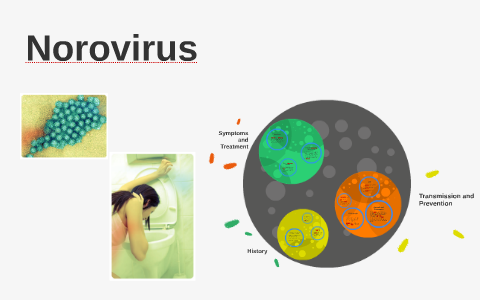 norovirus presentation prezi