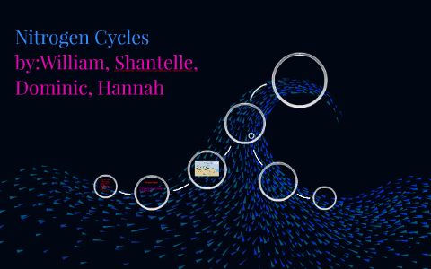 Nitrogen Cycles by Hannah Barcomb on Prezi
