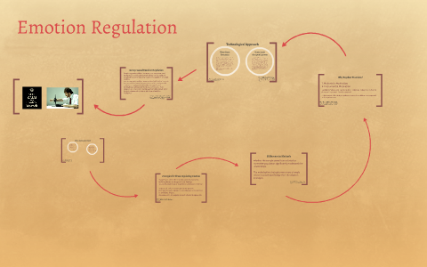 The Emerging Field Of Emotion Regulation Studies How Individ By Hadar Moran