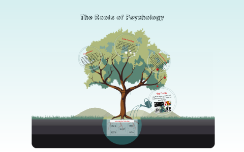 The Roots Of Psychology By On Prezi The Roots Of Psychology By On Prezi