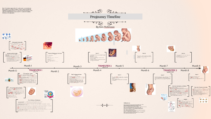 Pregnancy Timeline By Erin Mckinnon
