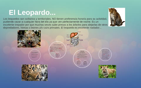 El Leopardo... by karen castillo on Prezi Next