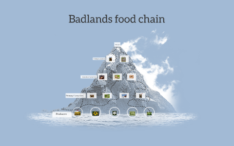 badlands food chain by alex booth on Prezi