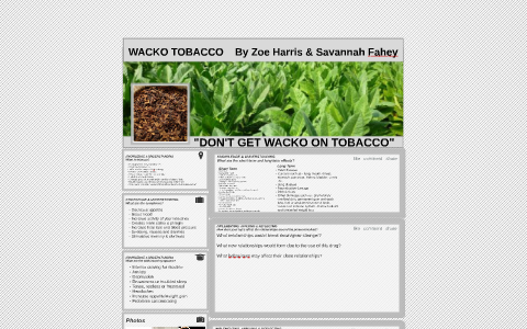 WACKO TOBACCO by Zoe Harris on Prezi