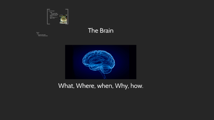 The Brain by HAN Lin on Prezi