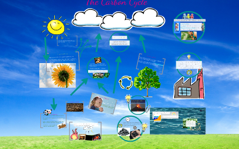 The Carbon Cycle by Meghan Ulisse on Prezi