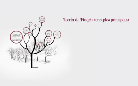 Teor a de Piaget conceptos principales by cecilia barraque on Prezi