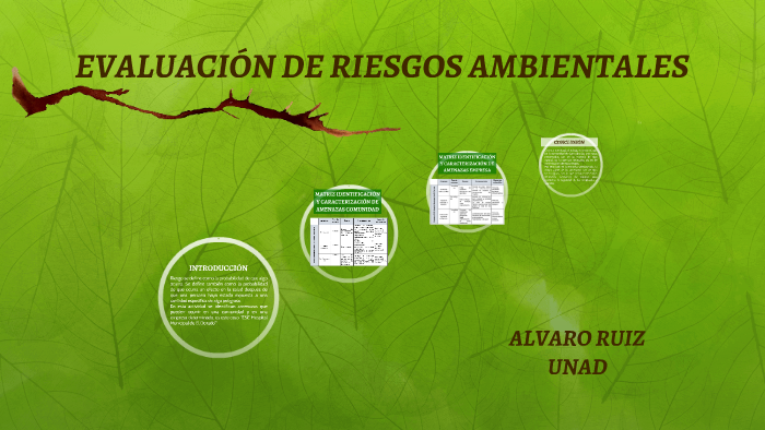 Evaluacion De Riesgos Ambientales By Alvaro Ruiz On Prezi