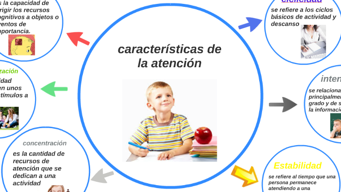 caracteristicas de la atencion by keren ortiz on Prezi