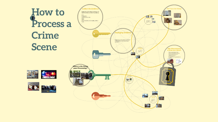 How to Process a Crime Scene by Marti Harvey on Prezi