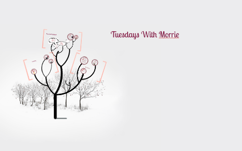 tension of opposites tuesdays with morrie