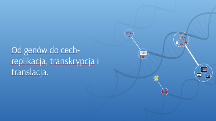 Od genów do cech- replikacja, transkrypcja i translacja. by Marianna