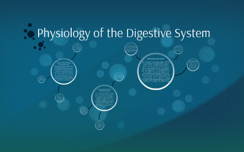 Physiology of the Digestive System by Avina Patel on Prezi