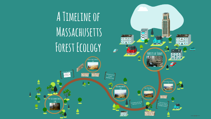 MA Forest Ecology Timeline by Chantal Raguin on Prezi