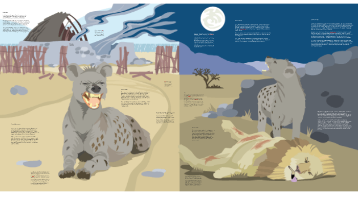 Hyena by Edwin Morgan by Kirsty Strahan on Prezi