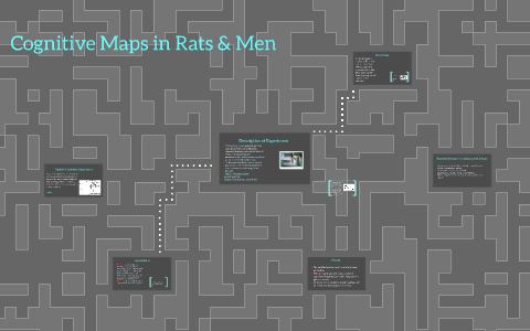 COGNITIVE MAPS IN RATS AND MEN