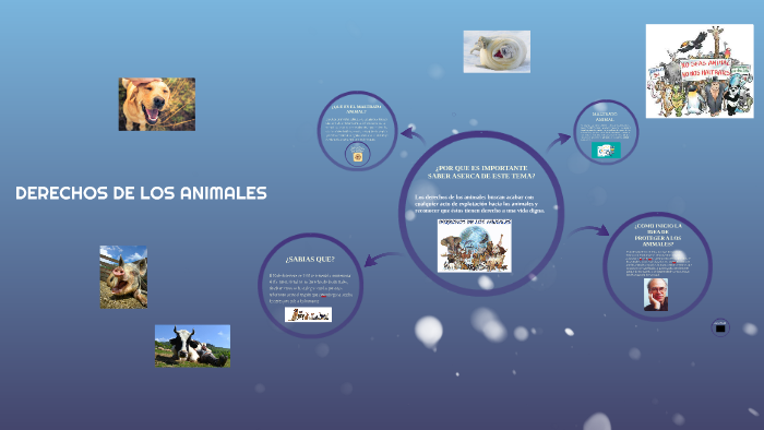 DERECHOS DE LOS ANIMALES by maria valle Hernández. de echó desde on Prezi