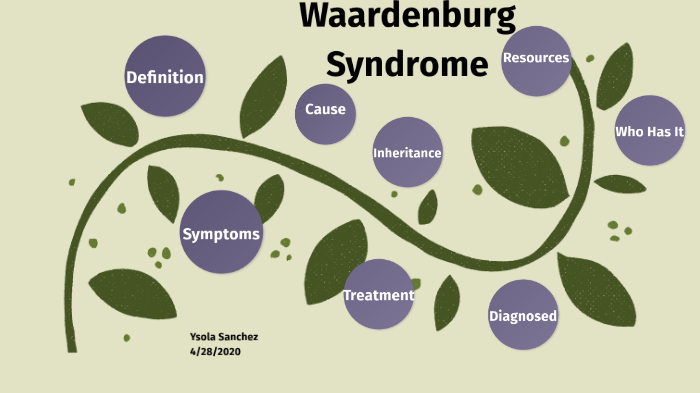 Waardenburg Syndrome By Ysola Sanchez