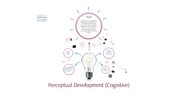 perceptual cognitive development