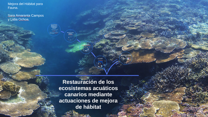 Restauración De Los Ecosistemas Acuáticos Canarios Mediante By Sara Campos On Prezi