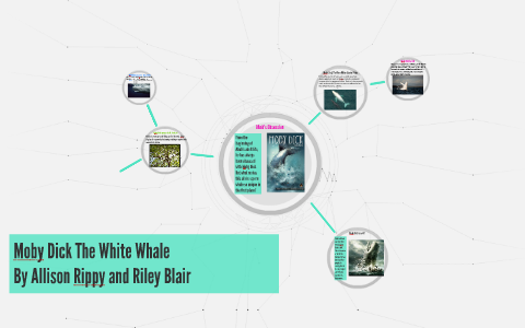 Allison Rippy Moby Dick The White Whale by Allison Rippy on Prezi