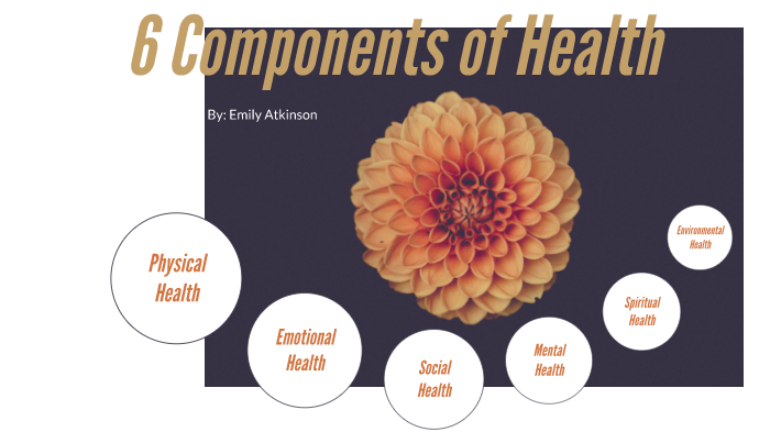 6-components-of-health-by-emily-atkinson