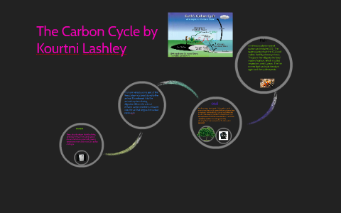 the carbon cycle by kourtni lashley on Prezi