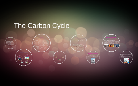 The Carbon Cycle by Angel Espinosa on Prezi