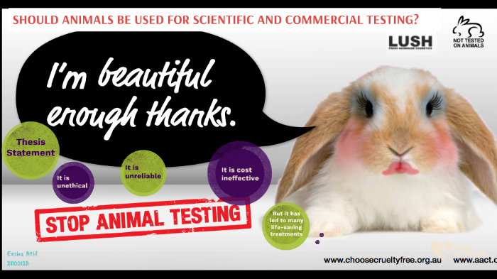 Animal Testing by Eesha Atif