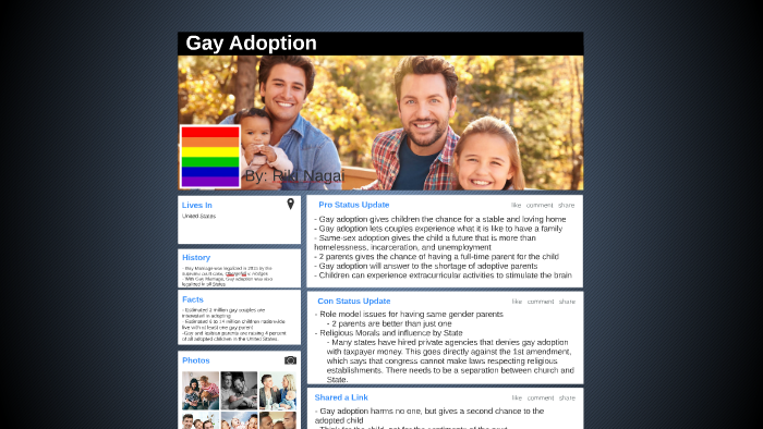 Gay adoption opinion