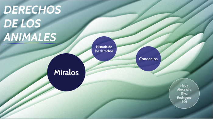Derechos de los animales by Hady Alexandra Silva Rodriguez on Prezi