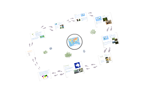biorregiones en el mundo by Elizabeth Carrillo on Prezi