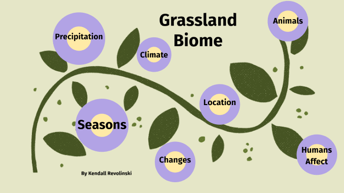 Grassland Biome Project By Kendall Revolinski On Prezi