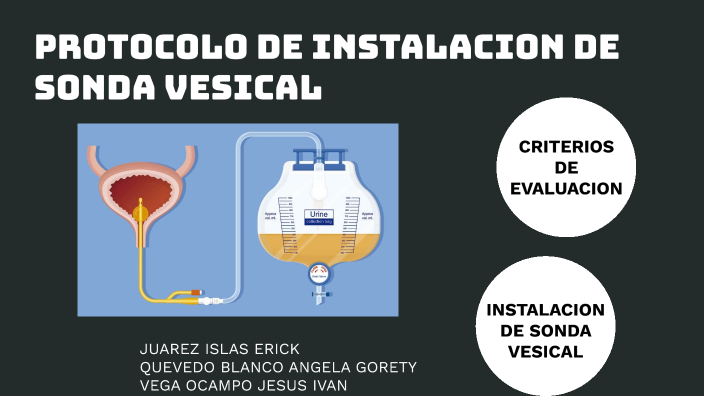 Indicador De Calidad De Sonda Vesical Instalada Imss