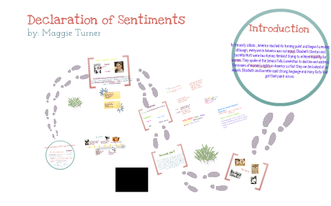 declaration of sentiments analysis essay