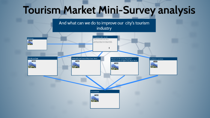 what is tourist market survey