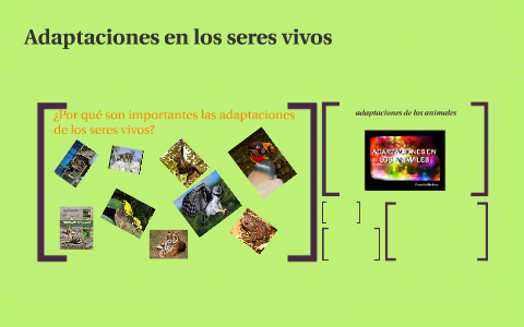 Adaptaciones de los seres vivos by Elia Rodriguez on Prezi