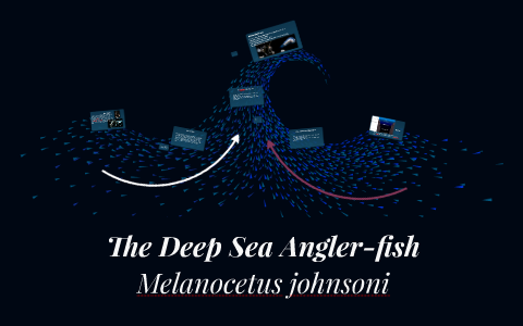 The Deep Sea Angler-fish by Charlotte Blundell on Prezi
