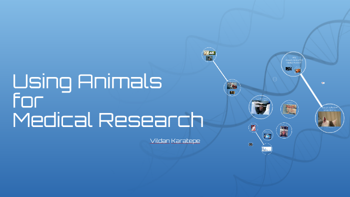 using animals for medical research is wrong