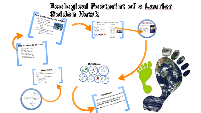 Ecological Footprint of a Laurier Golden Hawk by Laura D'Aurizio on Prezi