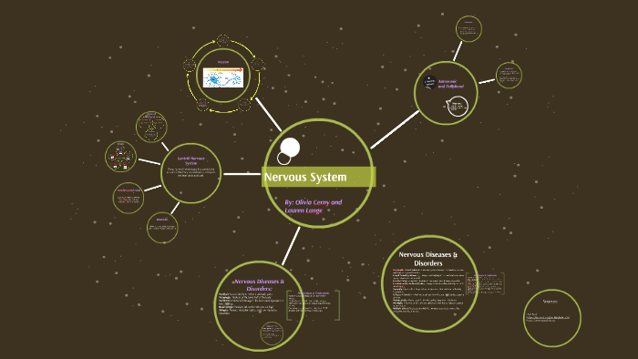 Nervous System by Olivia Cerny on Prezi