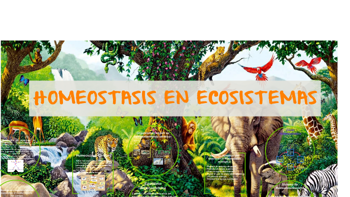 HOMEOSTASIS EN ECOSISTEMAS by Fredy Peña on Prezi