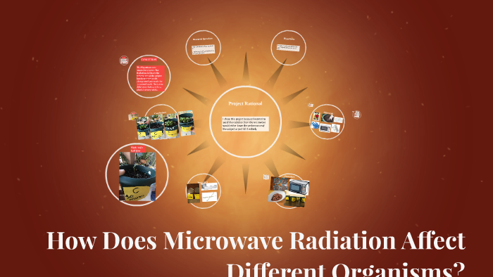 how-does-microwave-radiation-affect-different-organisms-by-juan-bernal