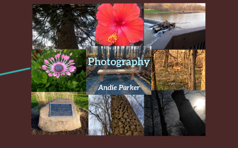 My 20% time Project by Andrea Parker on Prezi