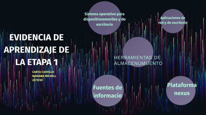 EVIDENCIA DE APRENDIZAJE DE LA ETAPA 1 by Mariana Michel Cantu Castillo ...
